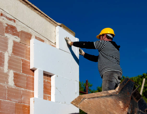 Best Energy Efficiency Solutions in Homestead Meadows North, TX
