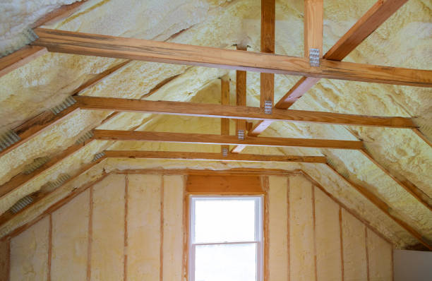 Best Insulation Maintenance and Repair in Homestead Meadows North, TX