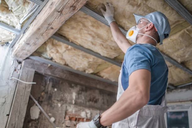 Best Types of Insulation in Homestead Meadows North, TX