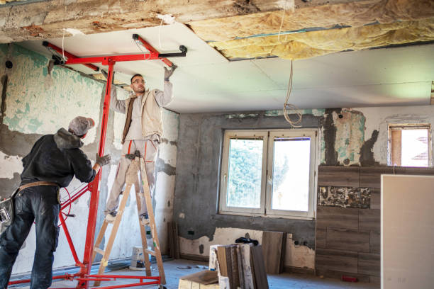 Best Insulation Materials and Products in Homestead Meadows North, TX