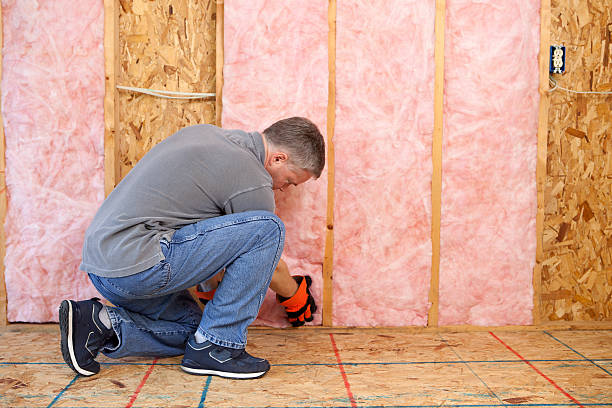 Best Specialty Insulation in Homestead Meadows North, TX