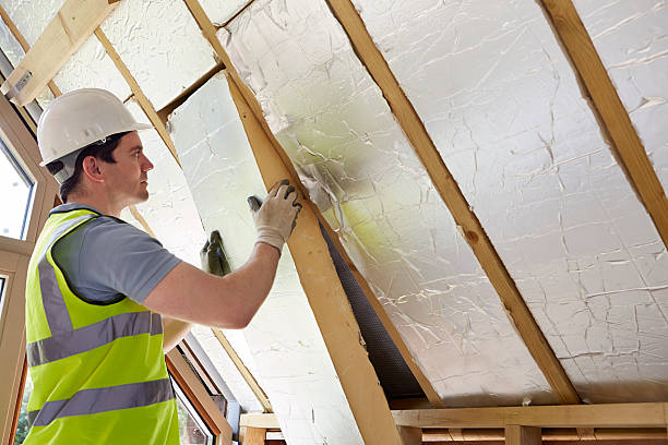 Best Insulation Installation Services in Homestead Meadows North, TX